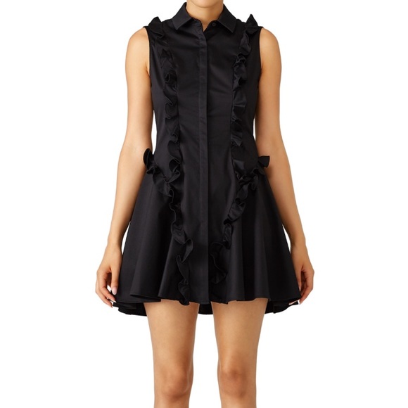 Alexis Dresses & Skirts - NWOT Alexis black Huxley dress size 4-6.